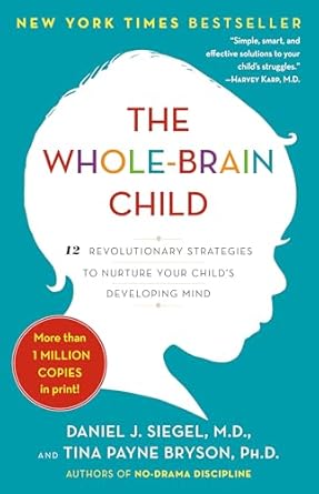 The Whole-Brain Child Strategies