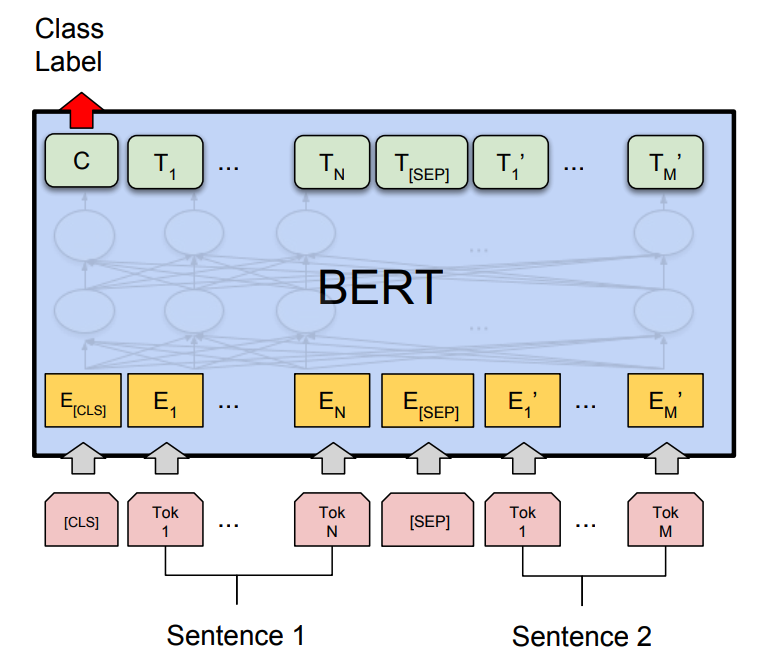 BERT Pre training of Deep Bidirectional Transformers for Language Understanding